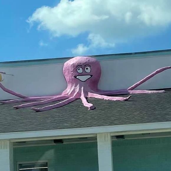 Meet your Posher, Edie - Picture 1 of 1